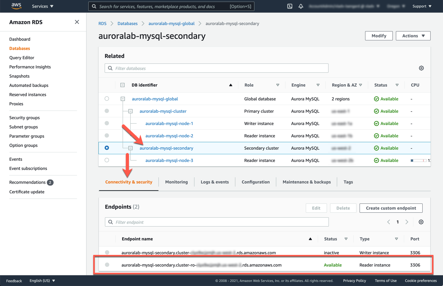 RDS Cluster Secondary Endpoints