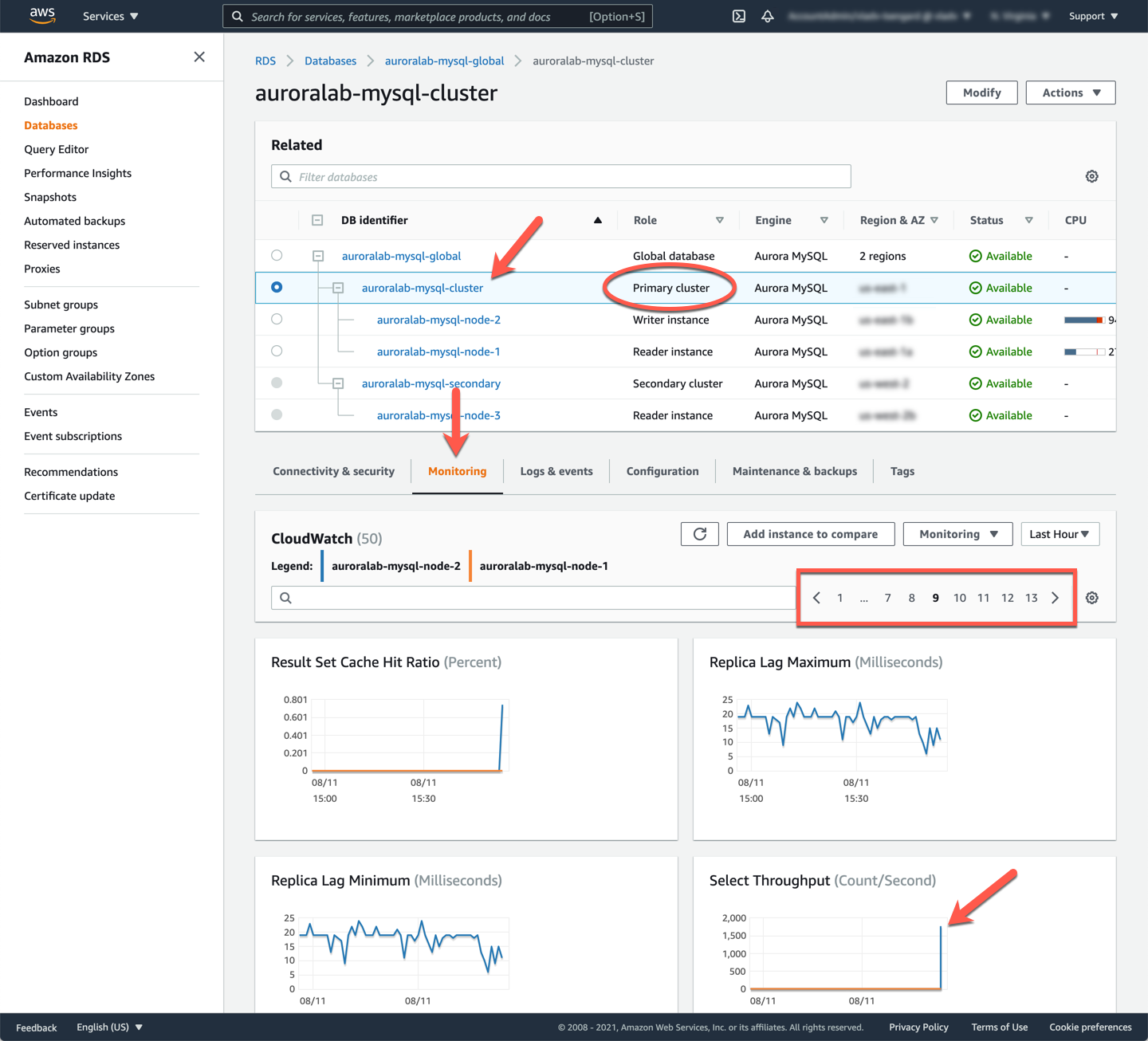 RDS Cluster Primary Metrics