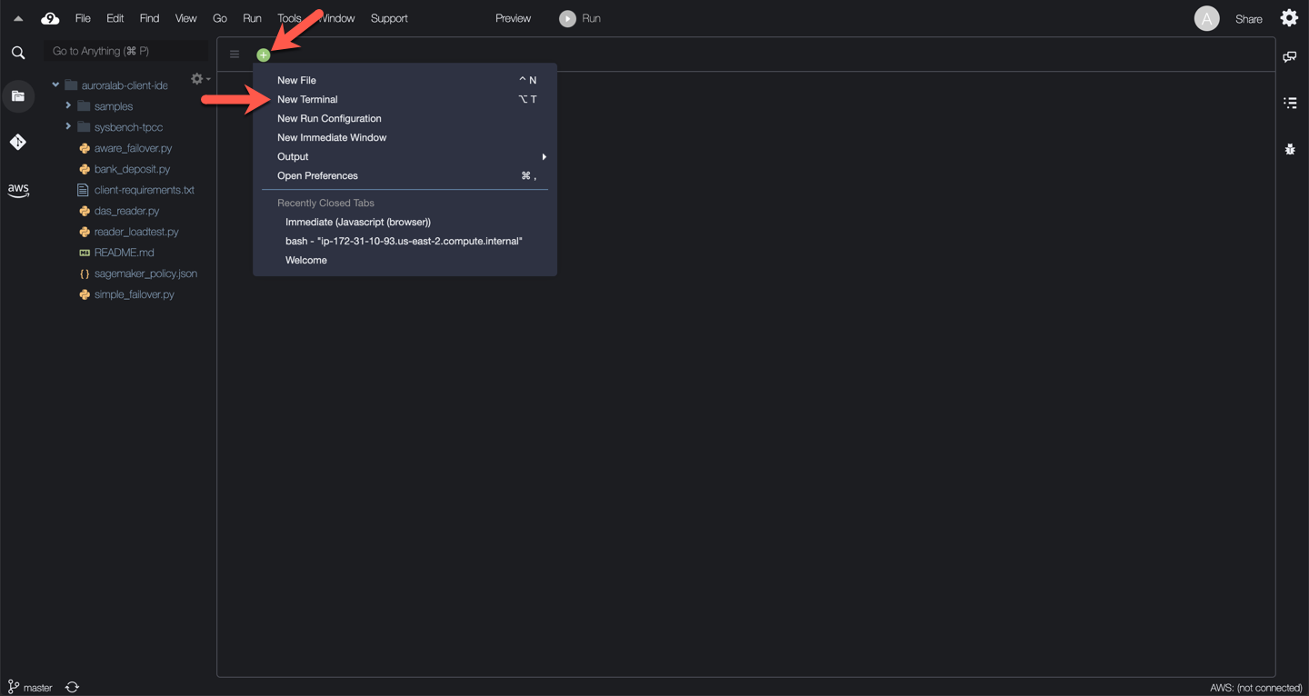 Cloud9 Desktop Terminal