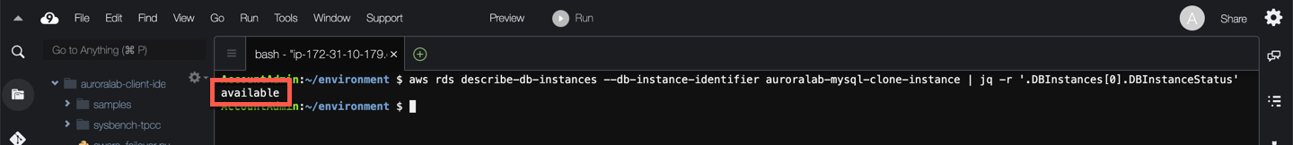 DB Instance Status