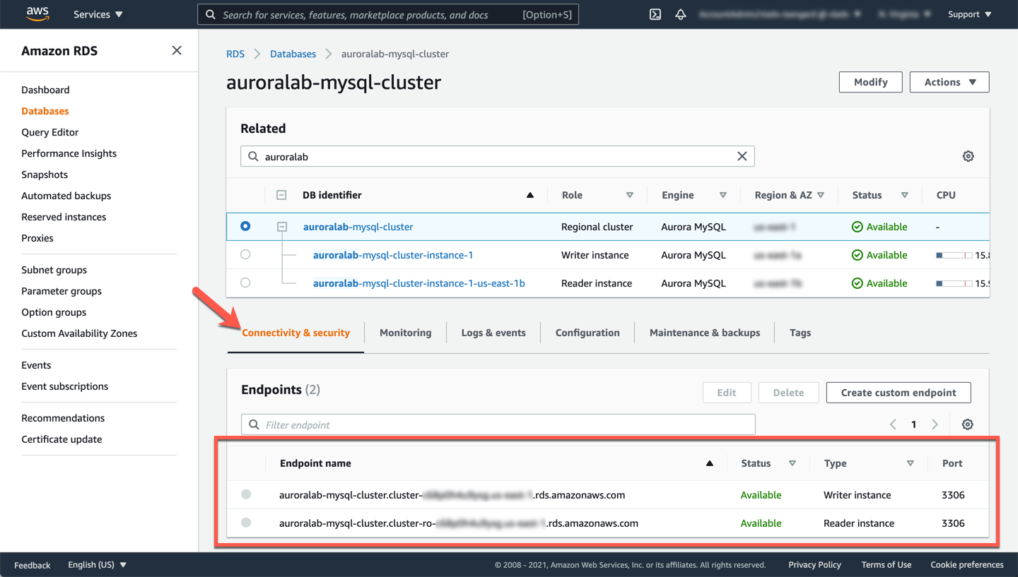 DB Cluster Endpoints
