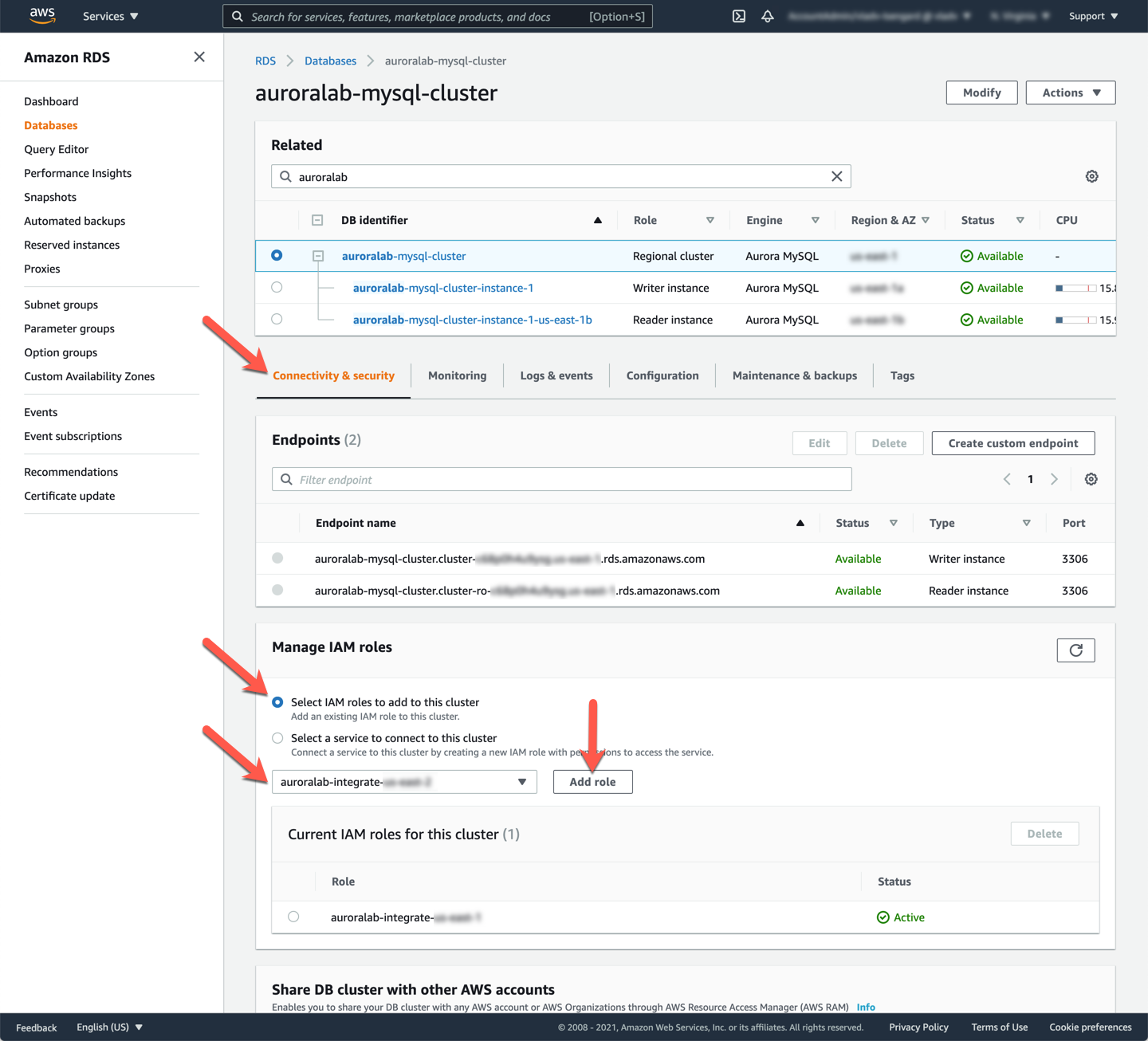 DB Cluster Add Role