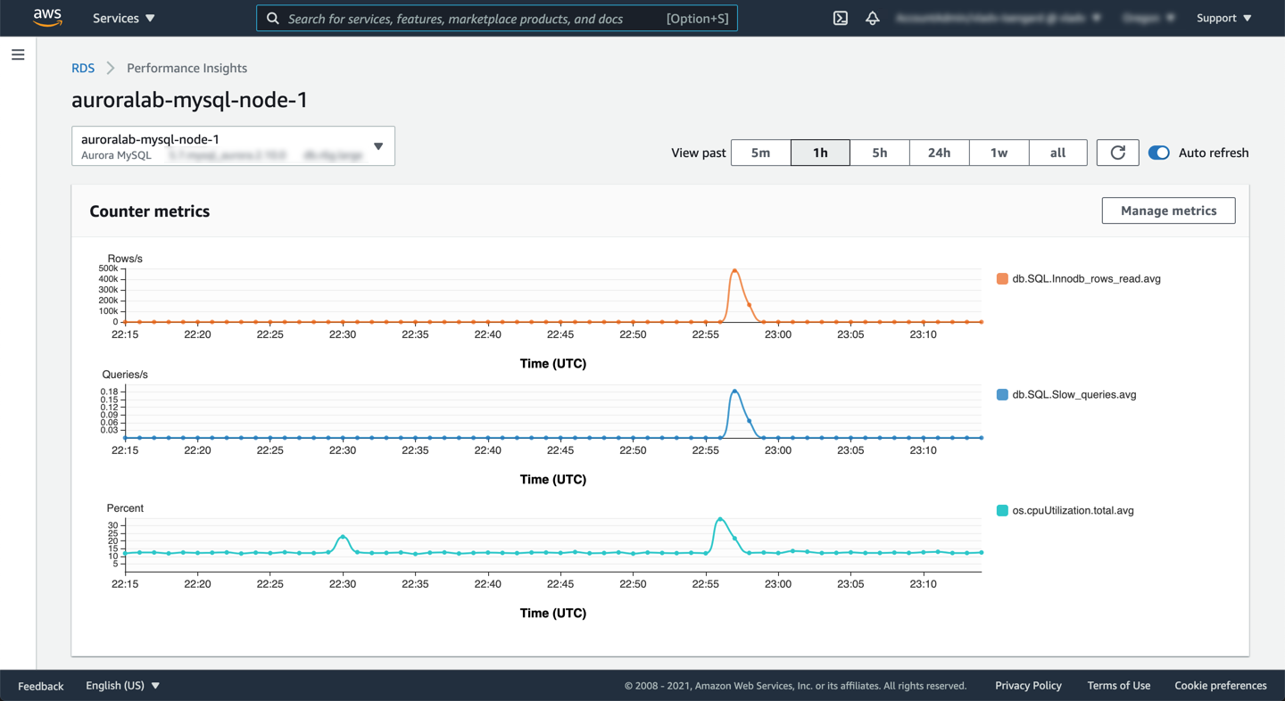 RDS Performance Insights - Counters
