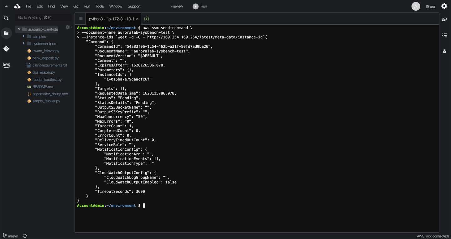 SSM Command