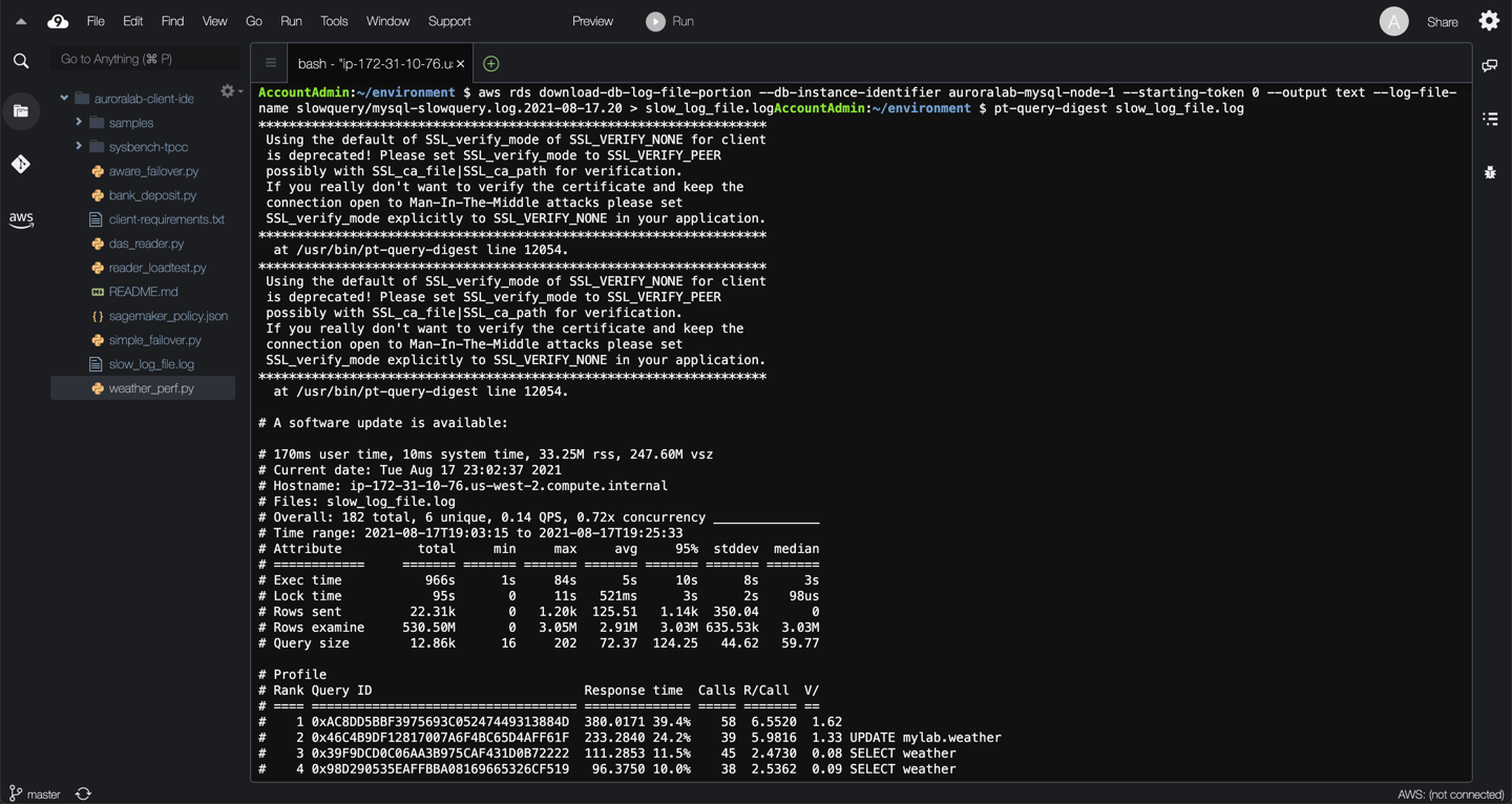 pt-query-digest Output