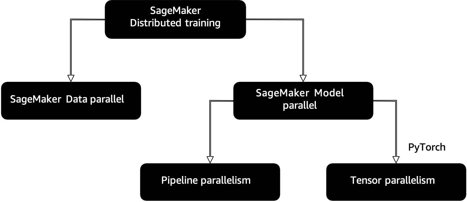 SageMaker Distributed Training Approaches