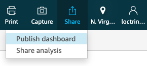 Publish Dashboard