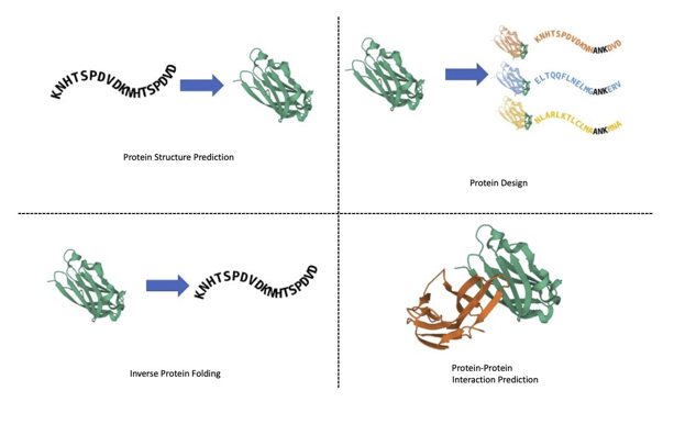 A diagram of common protein structure design steps