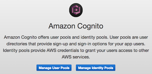 Lab 1 Part 1 Cognito Manage User Pools