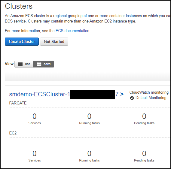 ECS Cluster